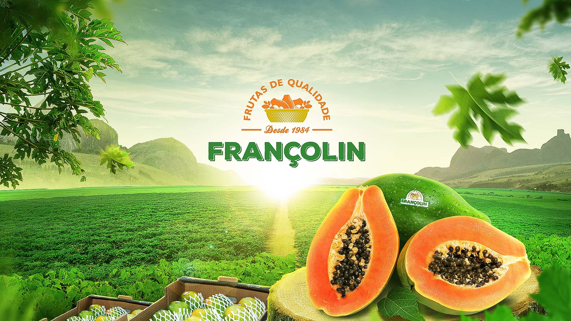 frutas-francolin-capa